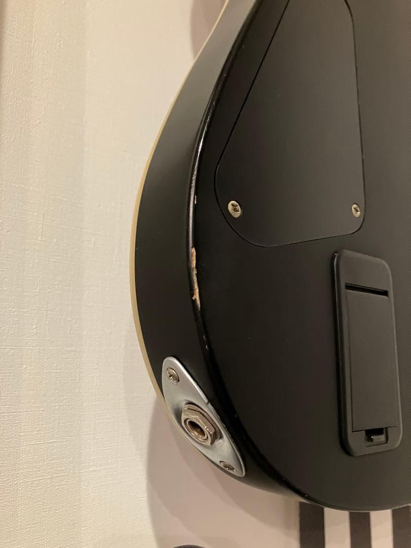 シェクター SCHECTER Damien Platinum-6