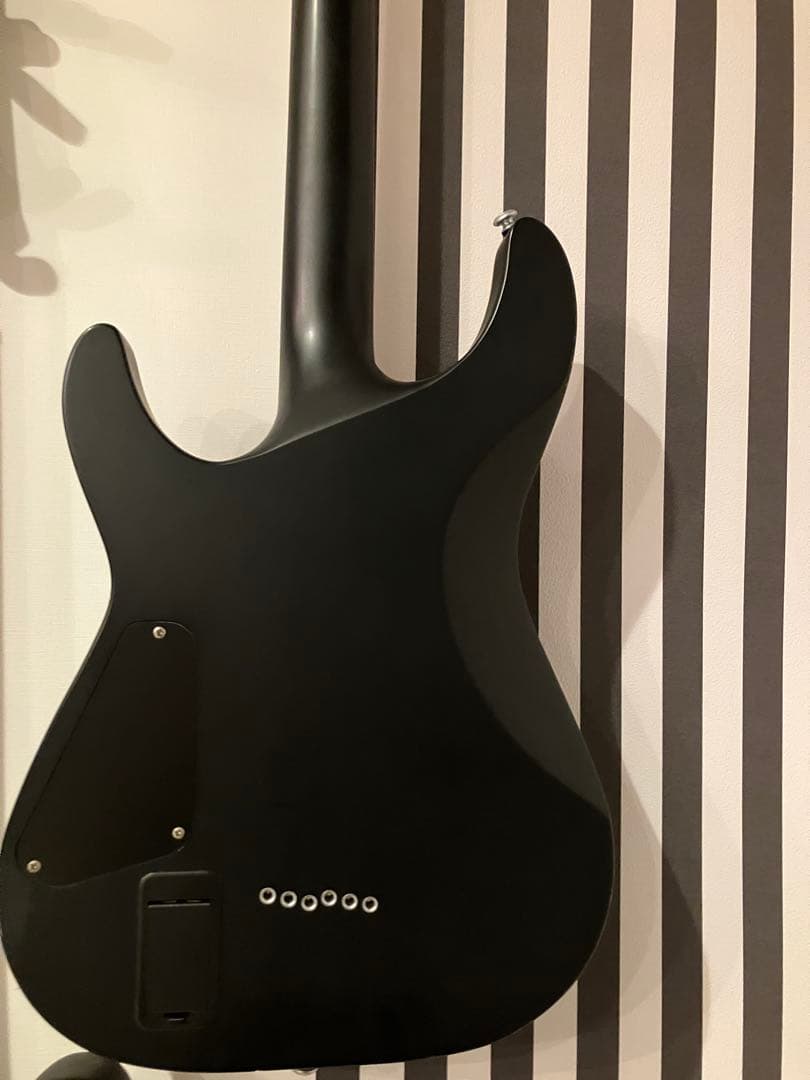 シェクター SCHECTER Damien Platinum-6