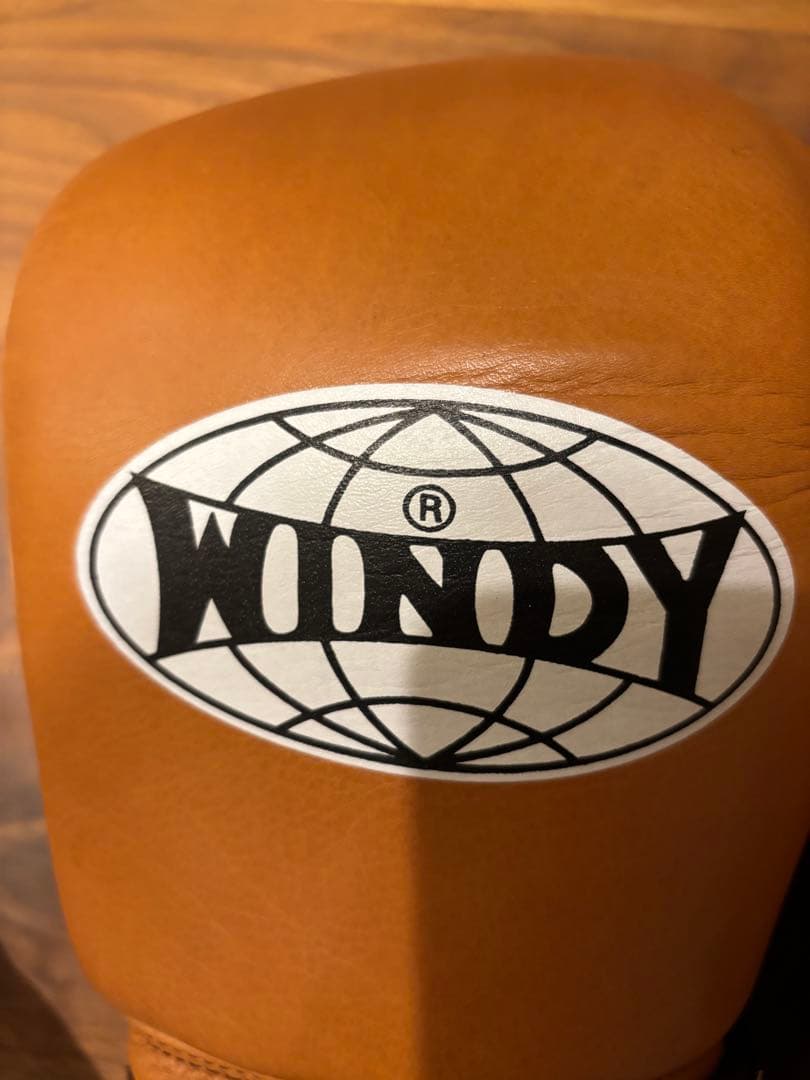 金欠学園長 　WINDY ボクシンググローブ ブラウン