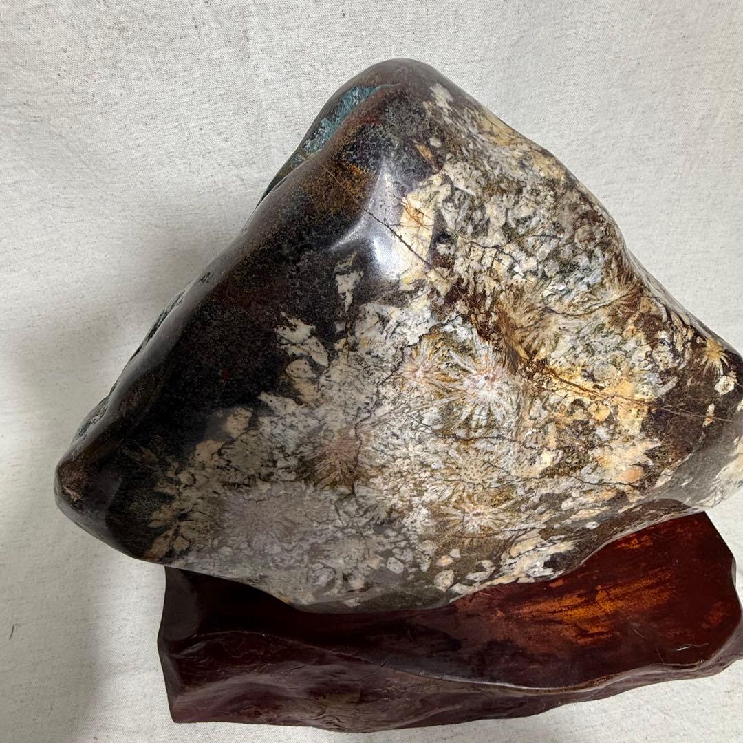 菊花石　岐阜根尾産　台座付き　重さ約10キロ