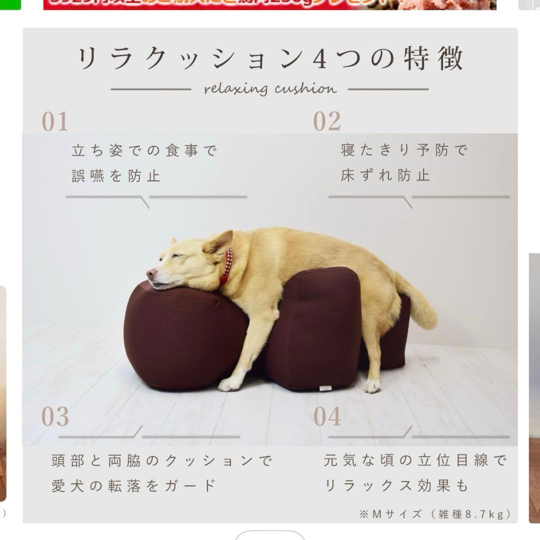 リラクッション　LL 大型犬用　カバー付き　定価合計52580円　アロン化成