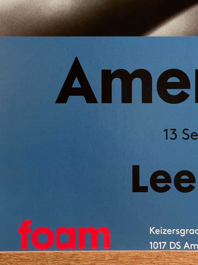 Lee Friedlander ポスター