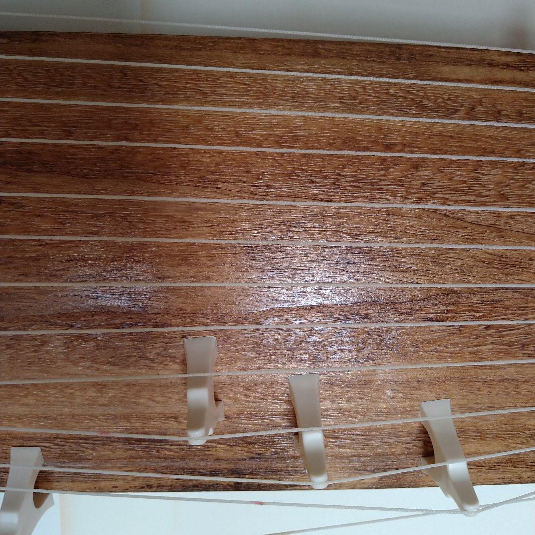 ☆短琴　だれでも弾ける高級三尺琴　弾龍