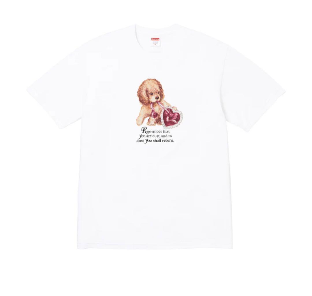 【即日発送】Supreme シュプリーム Dust Tee 白　XL 25FW