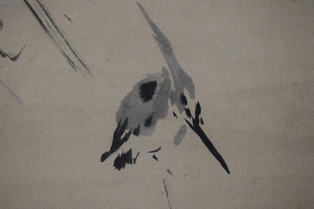 【真作】狩野探幽/達磨図カワセミ図セキレイ図三幅対/掛軸☆宝船☆Y-483　JM