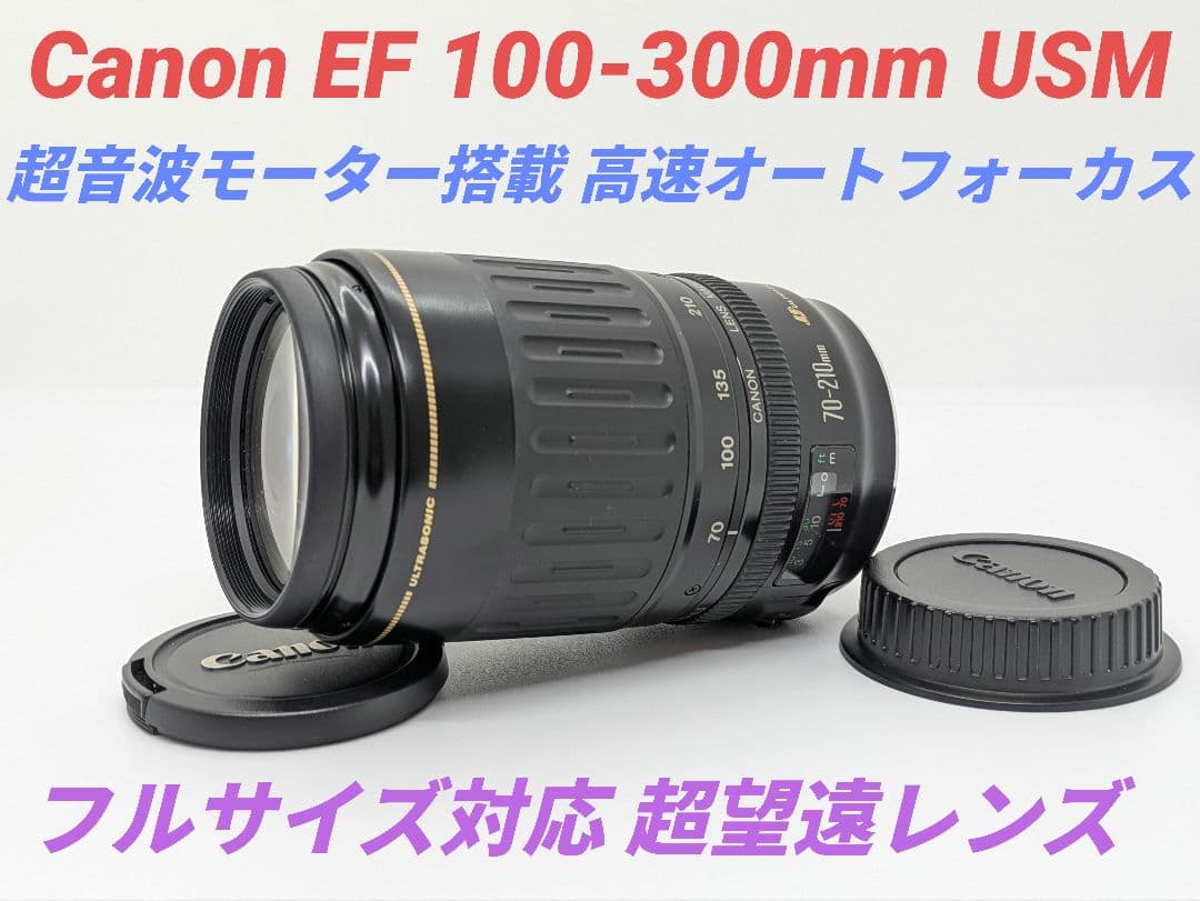 1月13日限定価格♪Canon EF 100-300mm USM