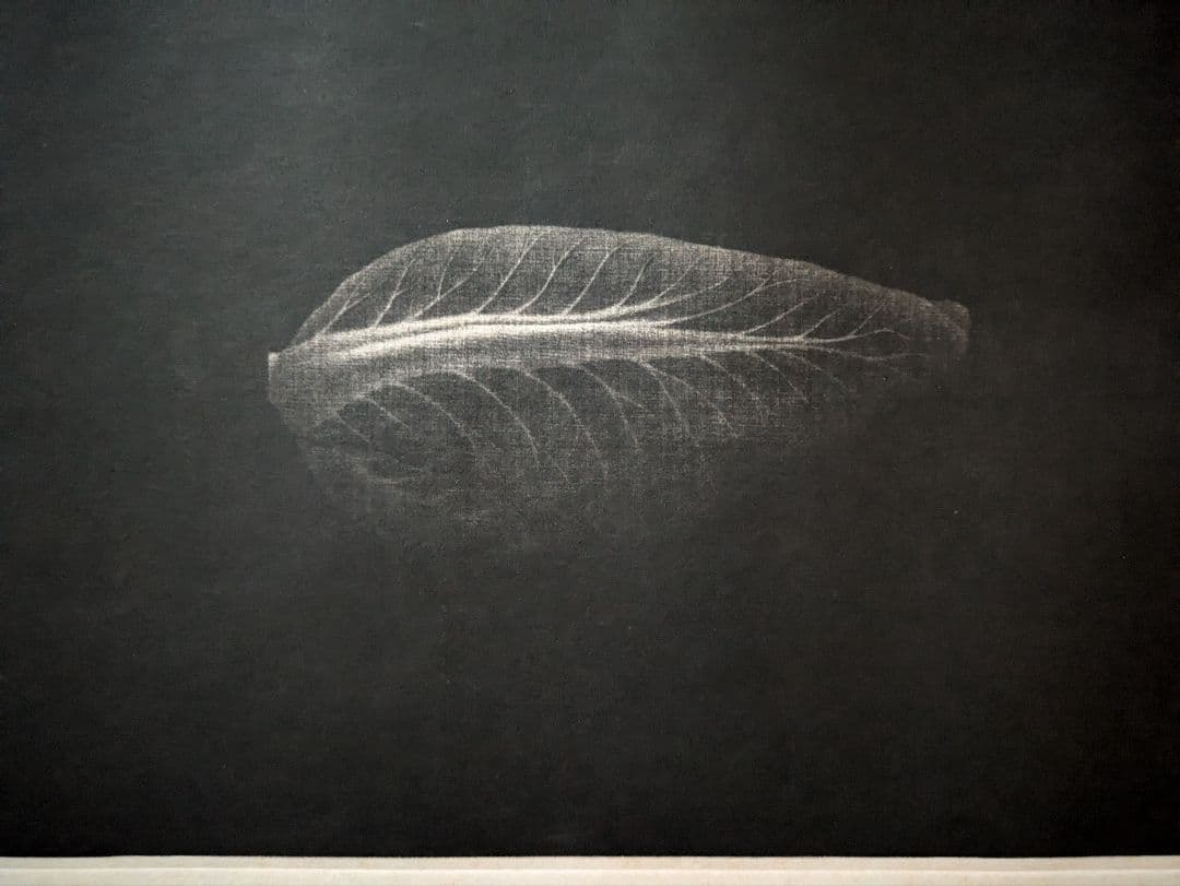 格安j浜口陽三の腐蝕銅版画　「 キャベツ 」美品 “黒”が織りなす静謐な銅版画