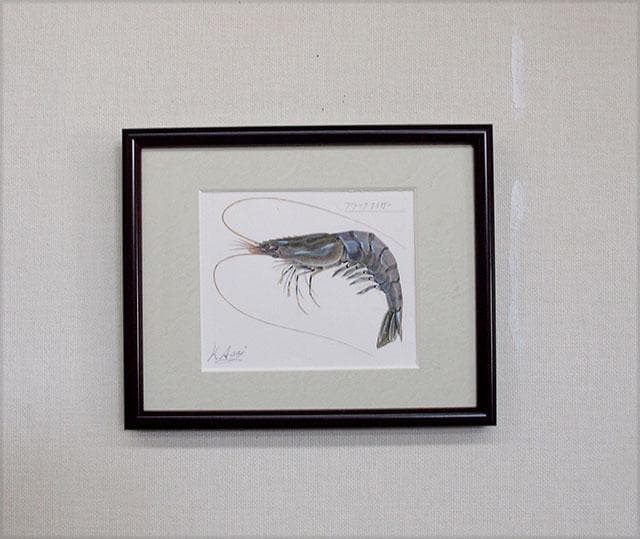 生物細密画（水彩）「ブラックタイガー」