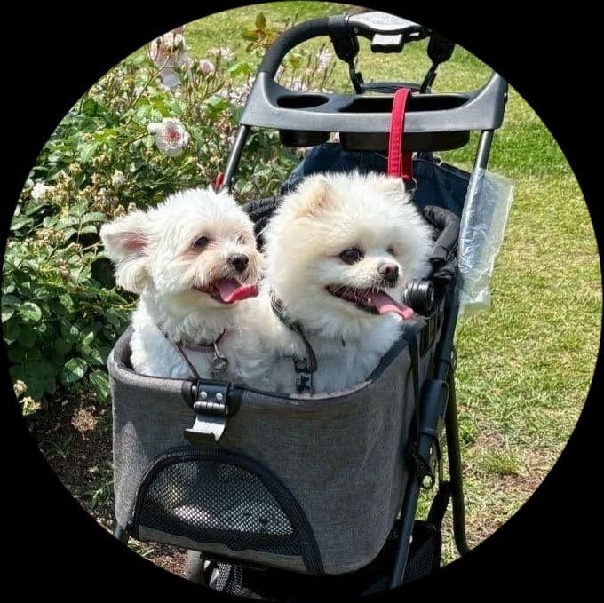 FaFa！キーホルダー