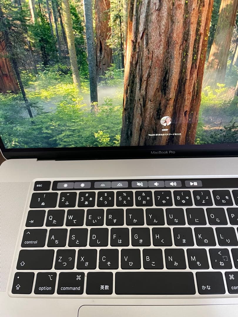 美品MacBook Pro 16インチ TouchBar付き