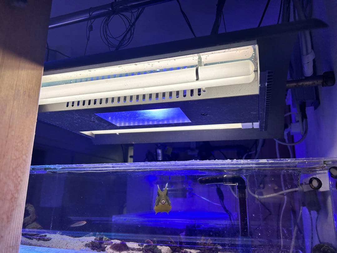 ADA メタハラ　グランドソーラーⅠ