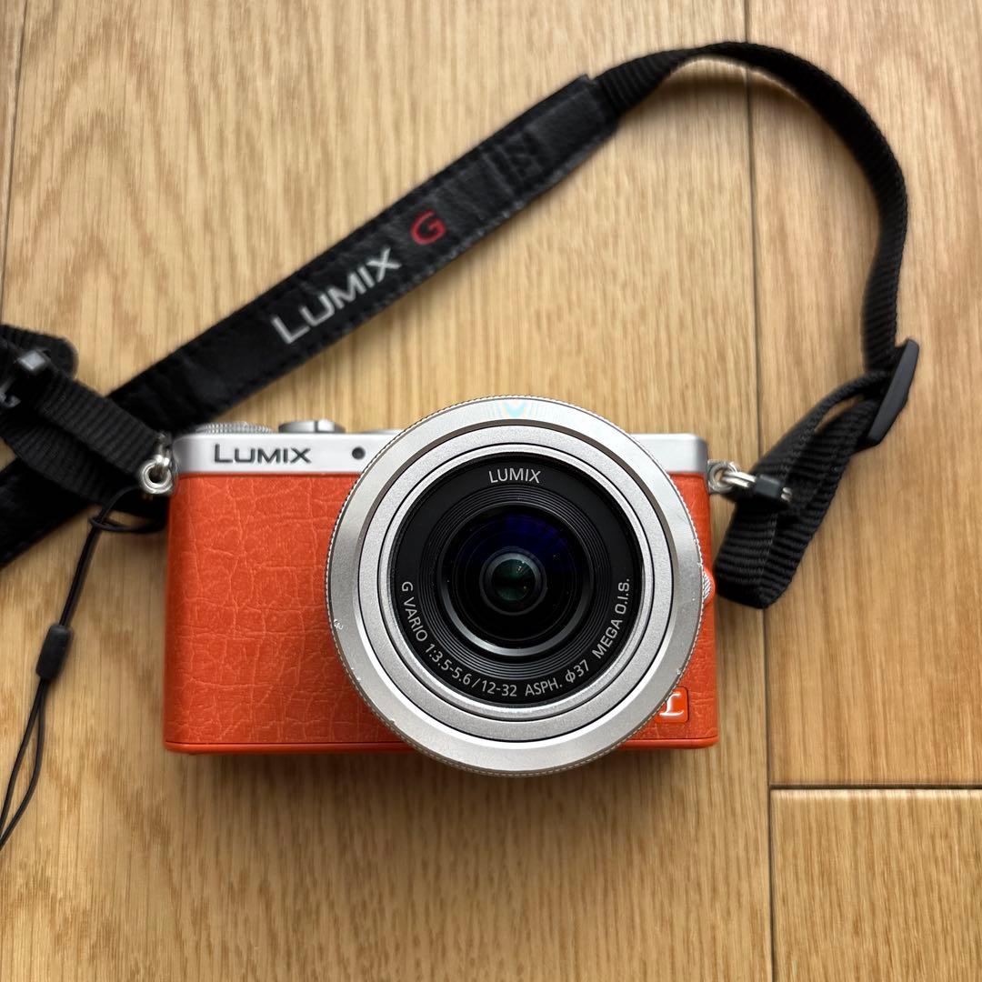 パナソニック LUMIX DMC-GM1