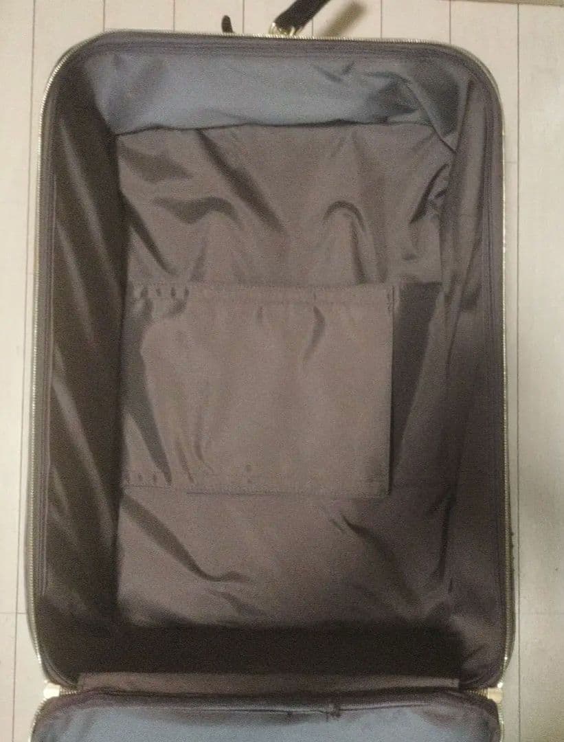 LOUIS VUITTON ダミエ キャリーケース 中型