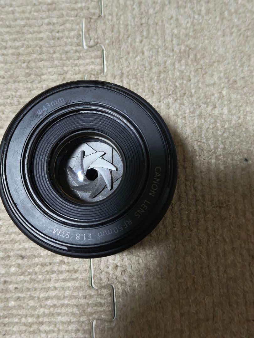 canon RF50 F1.8 箱無し