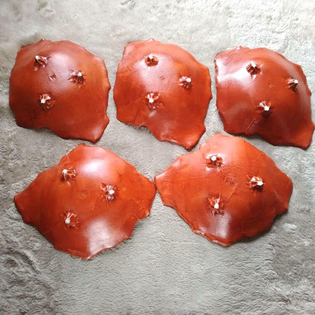 在印 朱色 三つ足鉢 5客揃 割烹料理 日本料理