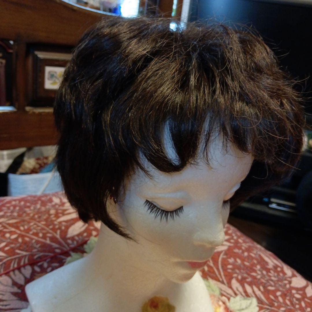 フォンテーヌウィッグVALAN32