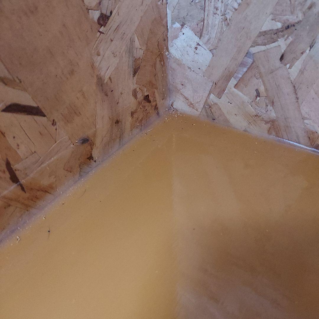 OSBボード製 飼育ケージ アクリル扉付き