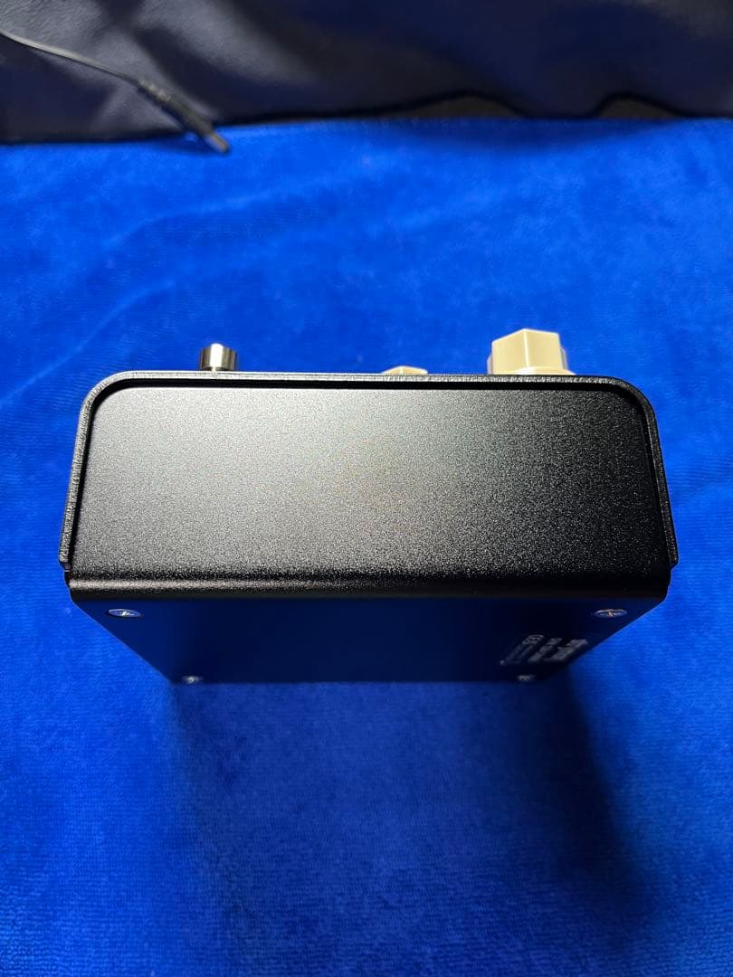 れる  Strymon FLINT V2