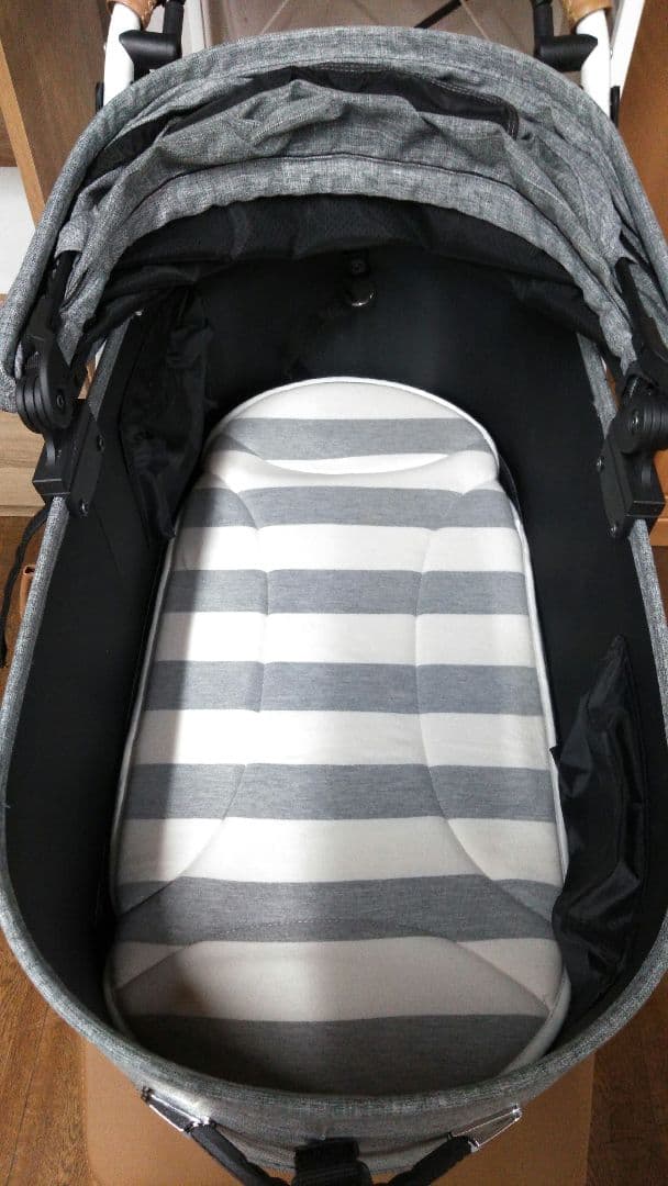 エアバギー　AIRBUGGY　ドーム3　DOME3　ラージ　ペットカート