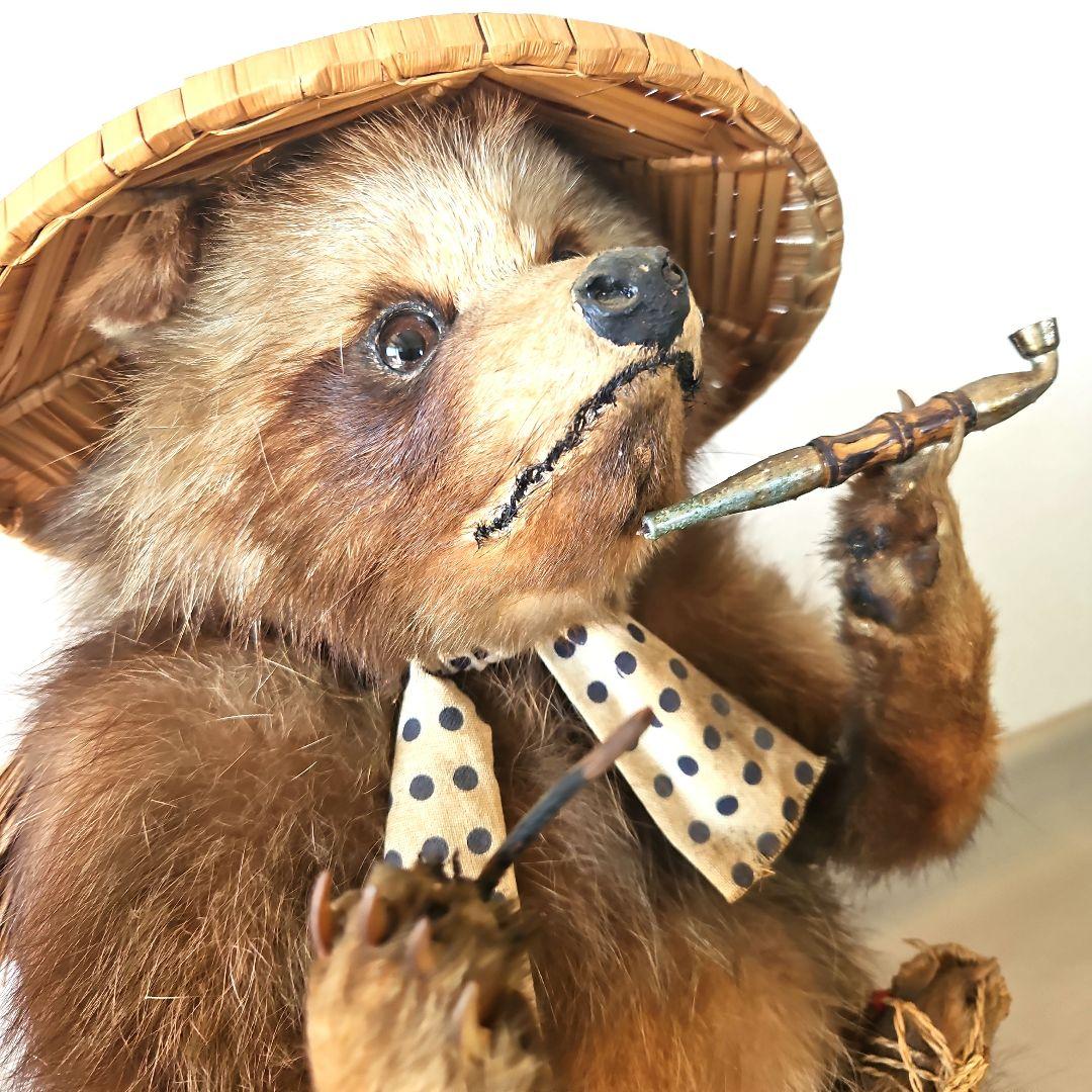 剥製　狸　タヌキ　獣　縁起物　商売繁盛　出世運　レトロ　天然木　台座付き