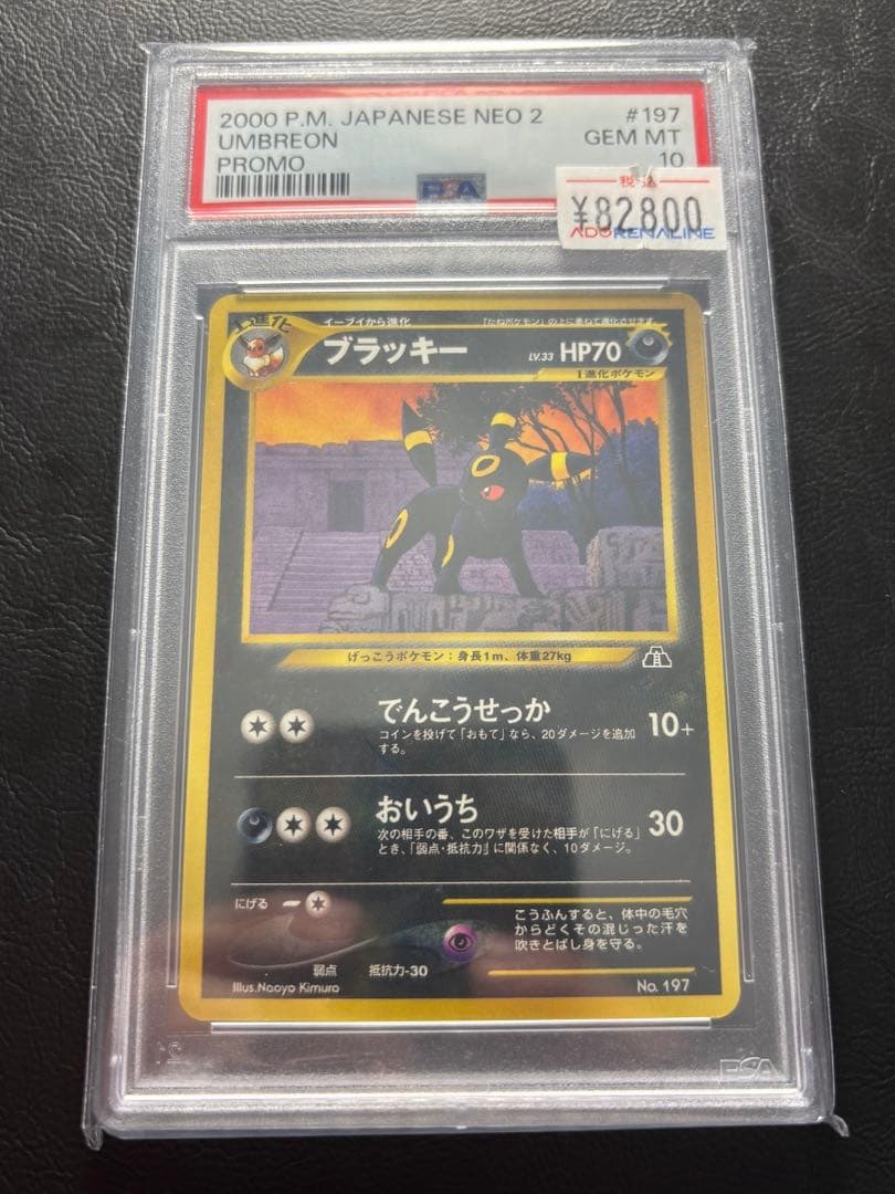 【PSA10】ブラッキー 旧裏 プレミアムファイル