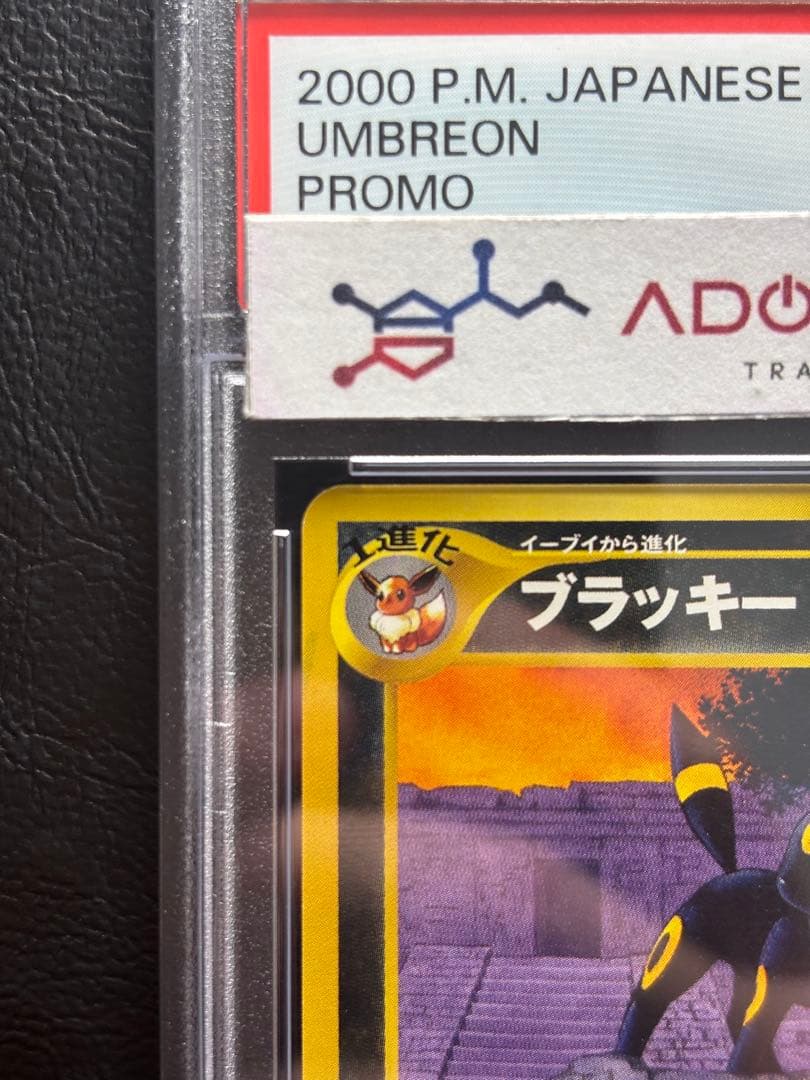 【PSA10】ブラッキー 旧裏 プレミアムファイル