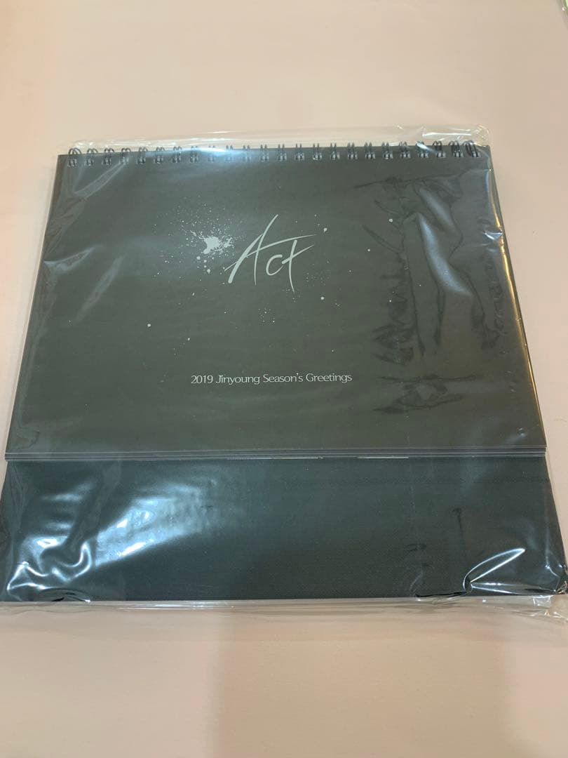 アイドル B1A4 JINYOUNG 2019 Season's Greetings