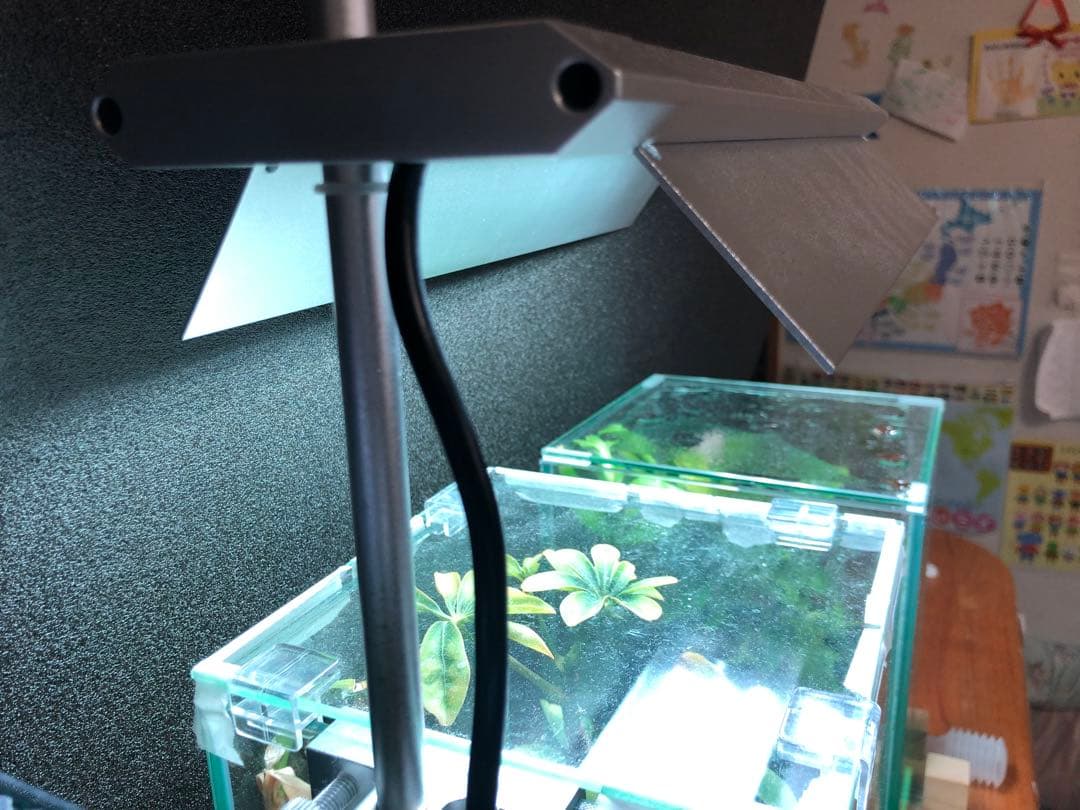 【美品】WEEK AQUA S300pro LEDライト RGBライト 30cm