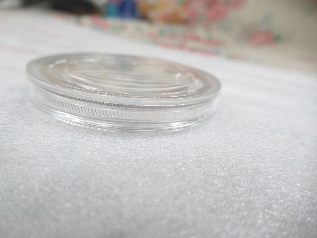 中国 パンダ  2004年 銀貨 純銀 10元 Ag999 1オンス１oz