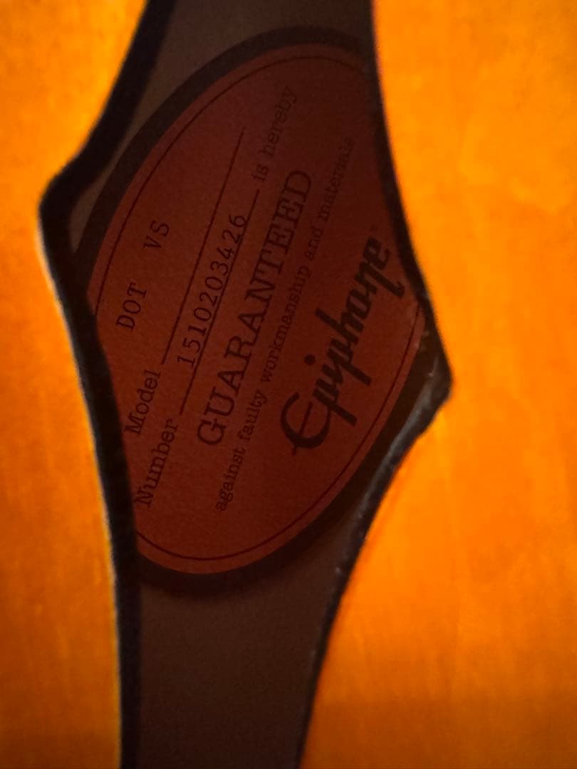 エピフォン　Epiphone dot vs