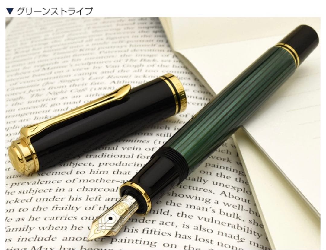 Pelikan（ペリカン）万年筆 スーベレーン M600 ➕ケース