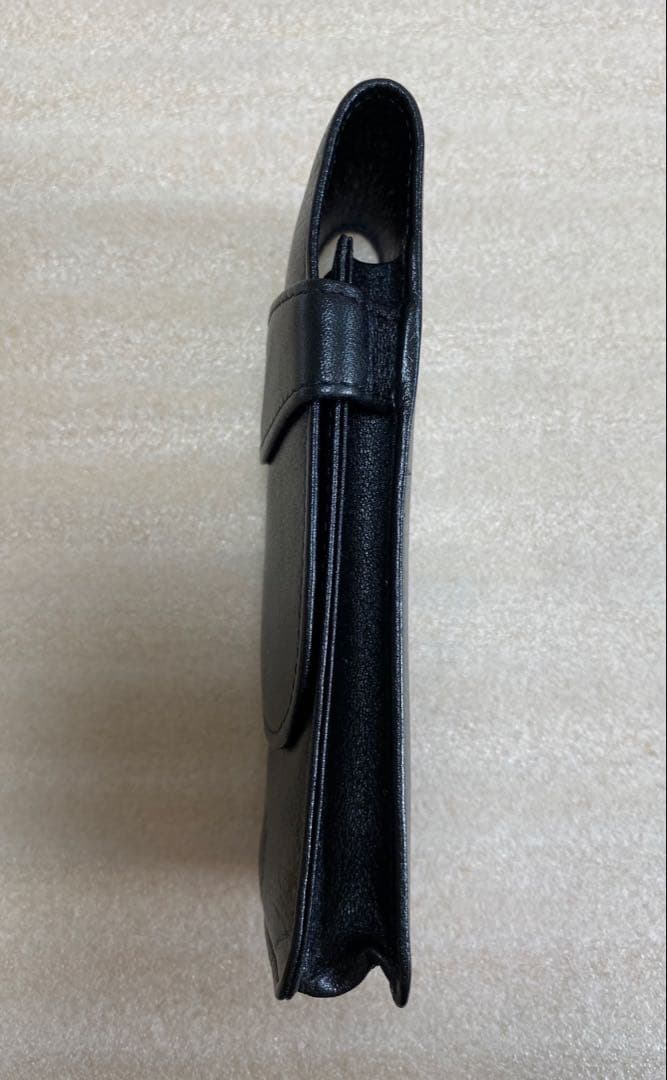 Pelikan（ペリカン）万年筆 スーベレーン M600 ➕ケース