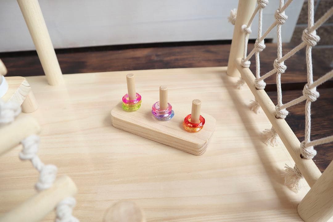 ことりのおおきなあそびば　文鳥　インコ　バードアスレチック　バードジム　ブランコ