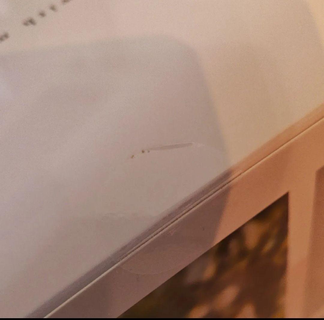 未開封　綾瀬沙季 義妹生活　フィギュア