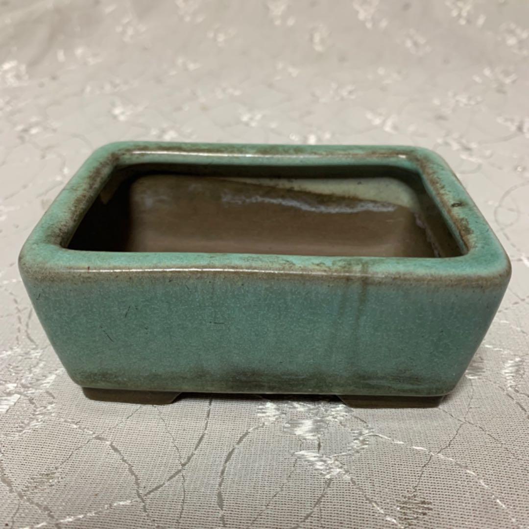 春萌　長方　盆栽鉢