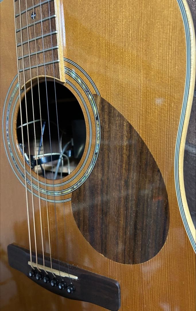 早い人勝ち 要説明確認　GREG BENNETT designギター