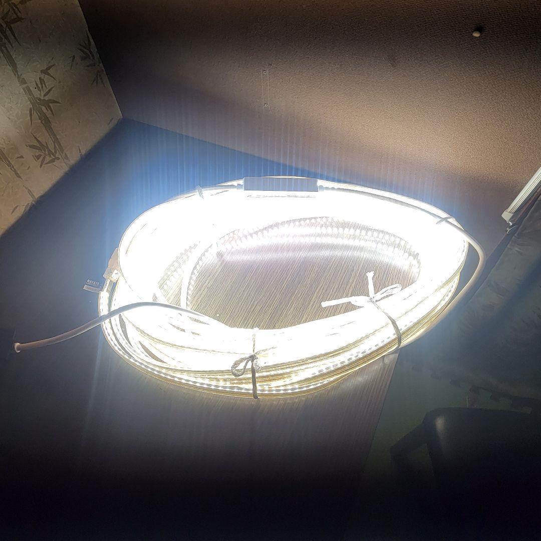 ☆ハタヤ (HATAYA)★LEDテープライト☆片面★20m☆