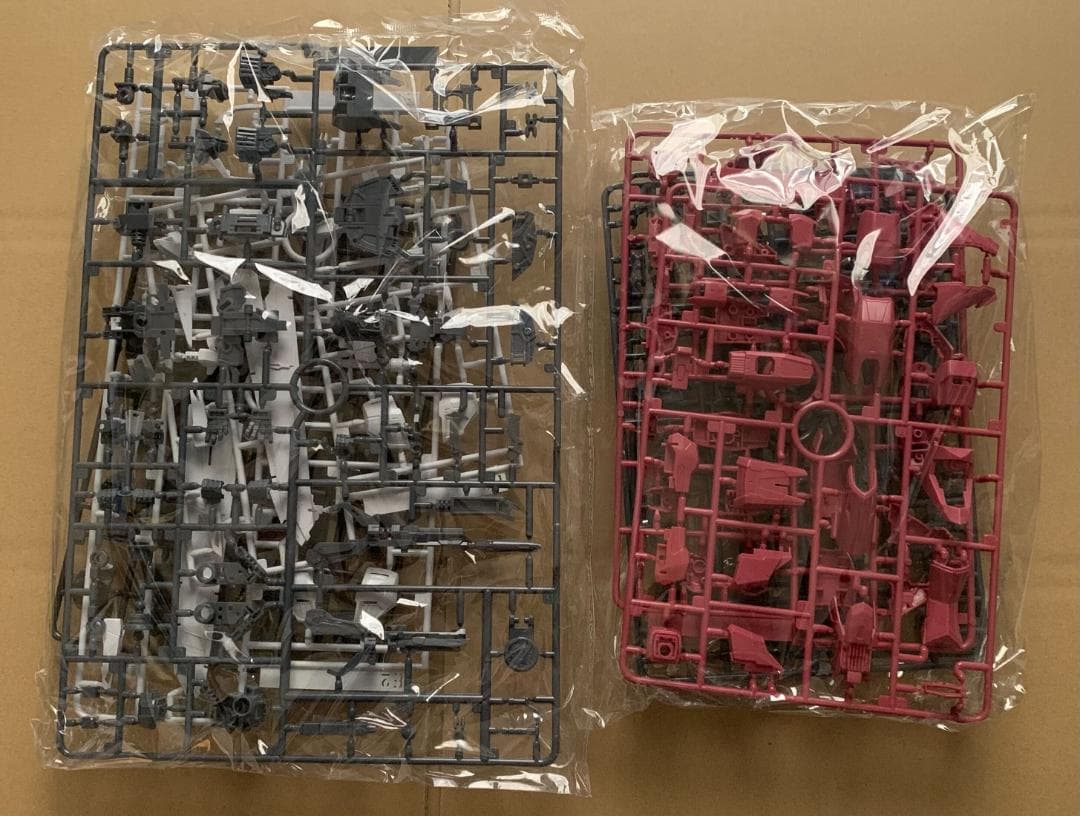 1/100 ジャスティスガンダム＋フリーダムガンダム 海外製