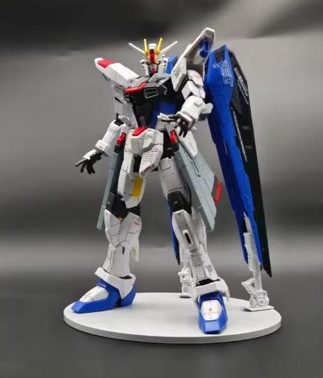 1/100 ジャスティスガンダム＋フリーダムガンダム 海外製