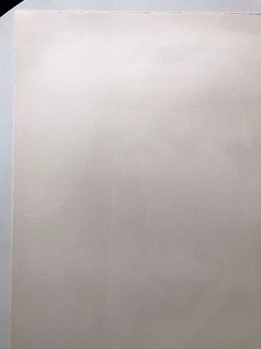 ★J5★古沢岩美「レダ」リトグラフ　限定品