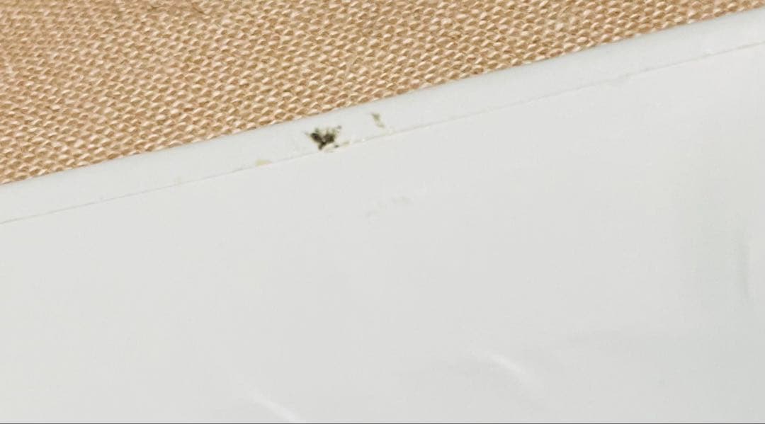 Our Paths Cross Again sky 星を紡ぐ子どもたち