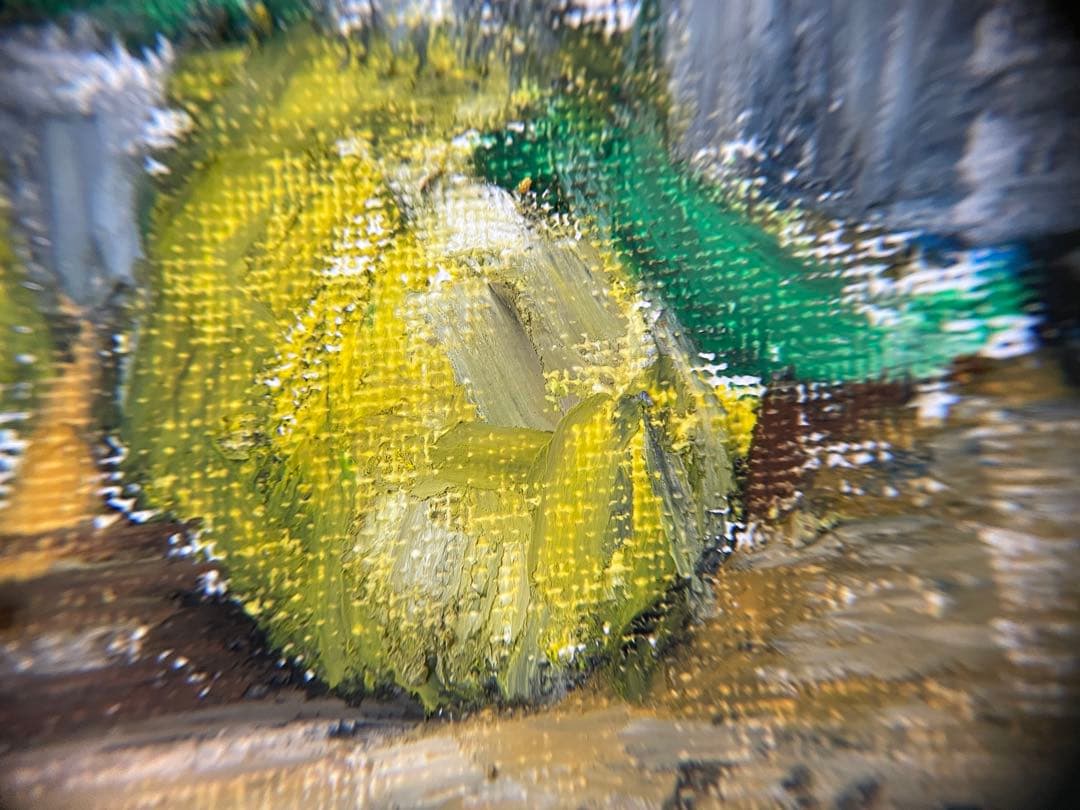 静かな実り｜柚子の小品原画（2025）