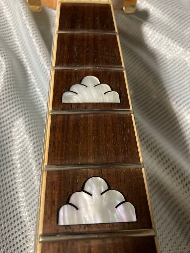 FERNANDES MG-70X hide エレキギター モッキンバード