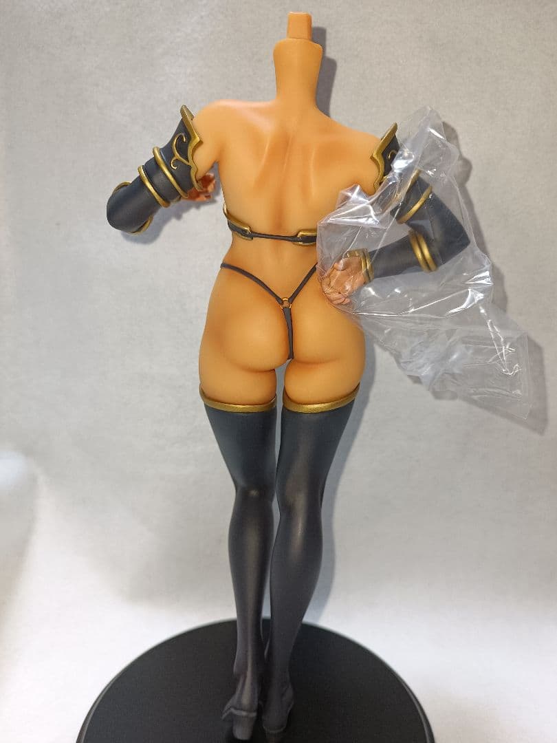 ドラゴンズクラウン 黒エルフの魔獣使い 1/6 完成品フィギュア Q-six