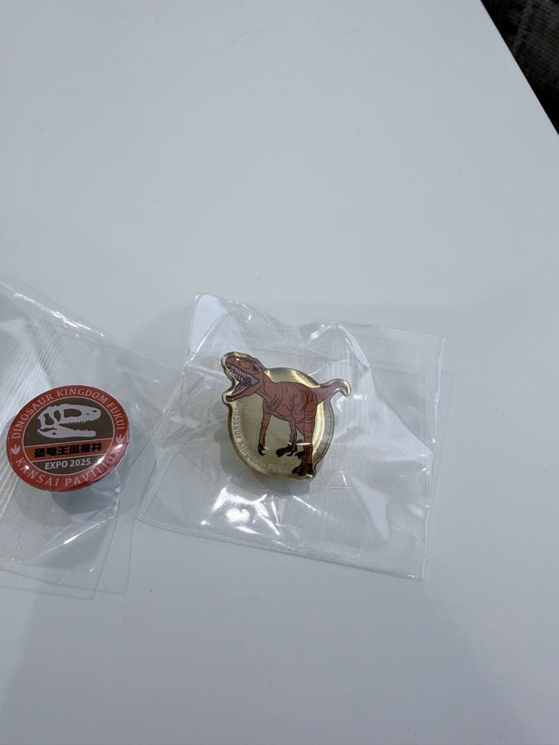 激レア　万博　最終日　関西パビリオン　ピンバッジ　福井県