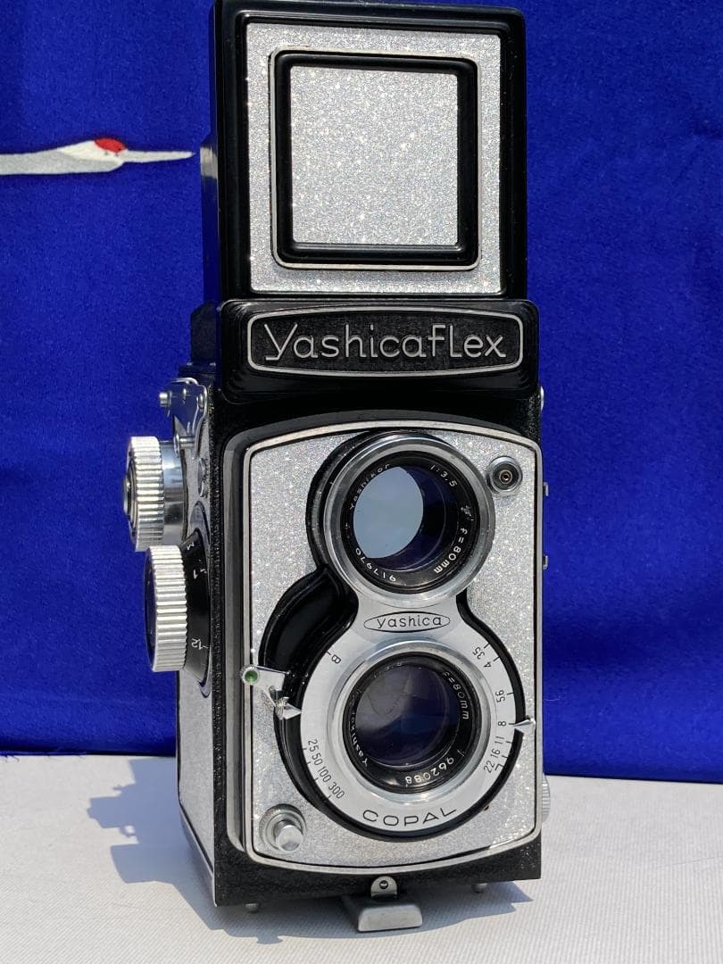 若葉が鮮やか　キラキラ感 YASHICA FLEX インテリアにもどうぞ