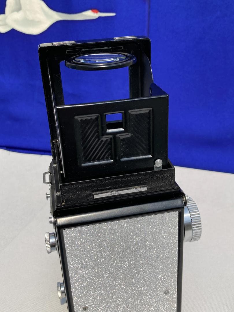 若葉が鮮やか　キラキラ感 YASHICA FLEX インテリアにもどうぞ