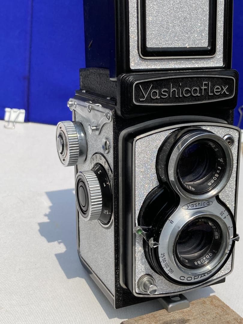 若葉が鮮やか　キラキラ感 YASHICA FLEX インテリアにもどうぞ