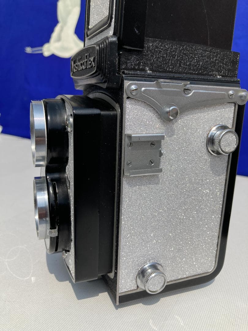 若葉が鮮やか　キラキラ感 YASHICA FLEX インテリアにもどうぞ