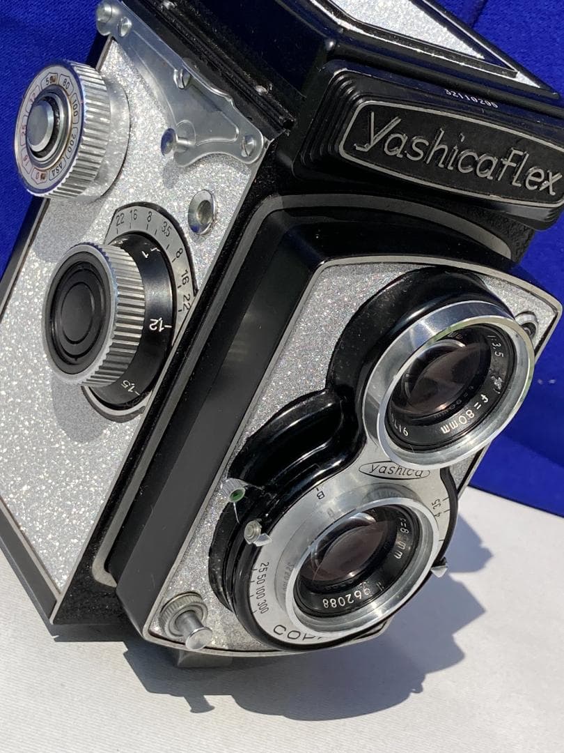 若葉が鮮やか　キラキラ感 YASHICA FLEX インテリアにもどうぞ